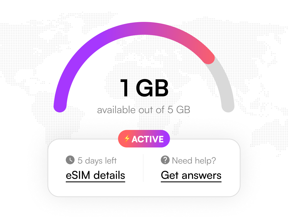 You're Ready to Roam! ✈️